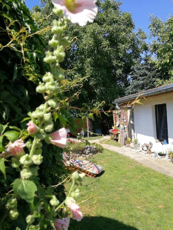 Bungalow Bei Warnemuende Elmenhorst/Lichtenhagen Kültér fotó